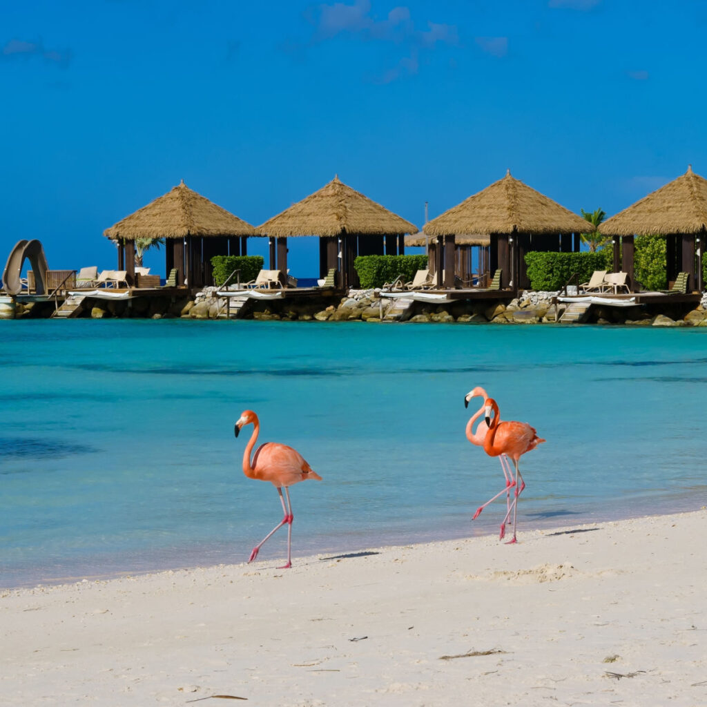1. Aruba: Digital Embarkation And Disembarkation Card Plus A Sustainability Fee