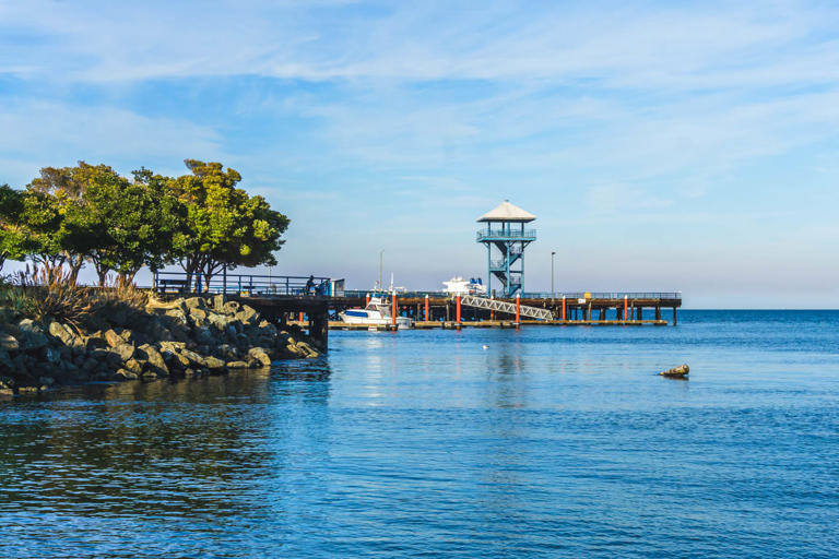 21 best things to do in Port Angeles, WA (gateway to Olympic National Park)