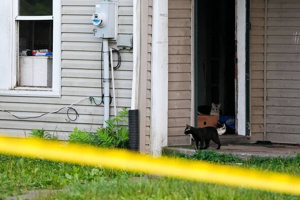 Cats sit on the porch of a home on the 100 block of Ohmer Street in Hamden, Vinton County, where state and county authorities say they rescued 16 children living in deplorable conditions, and arrested four adults on June 30, 2026 in Hamden, Ohio.