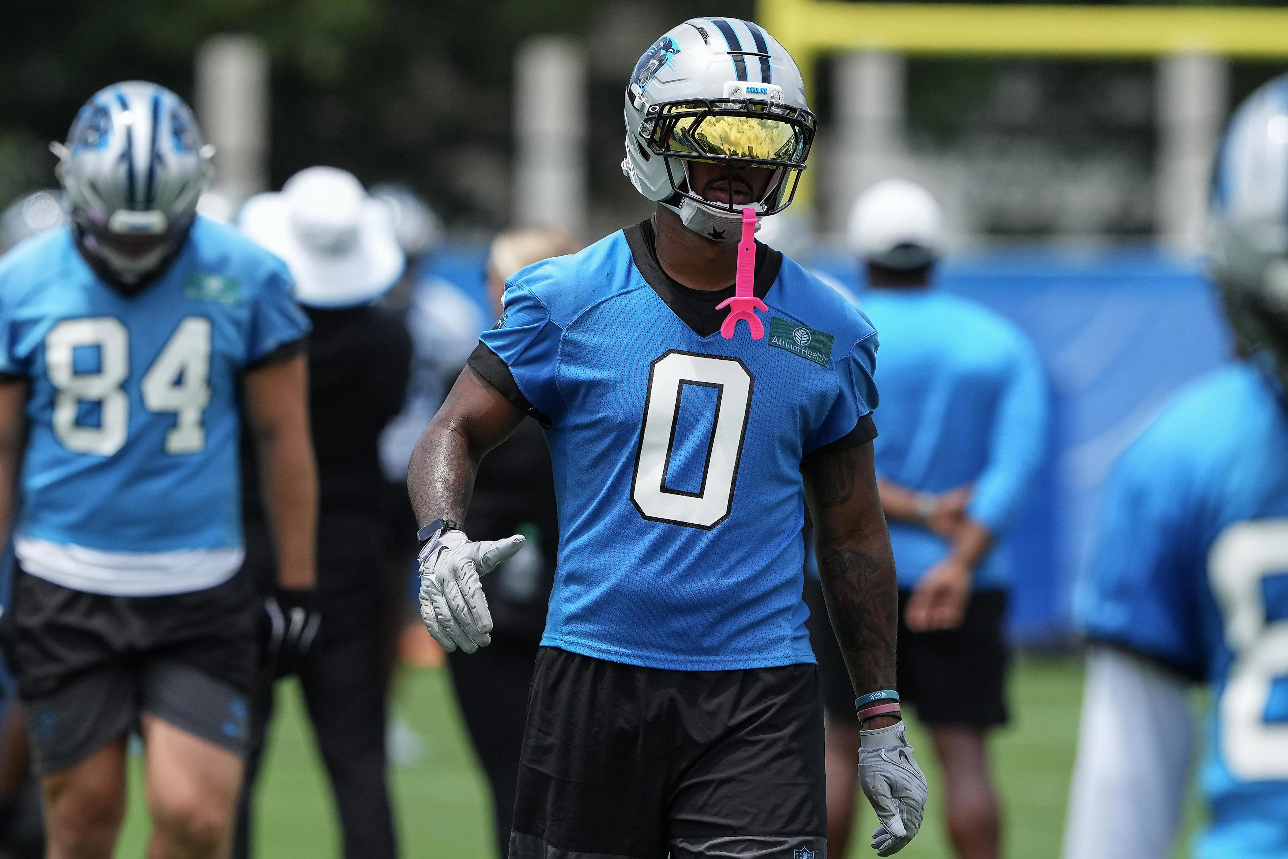 Panthers Reacts survey: Who has you hyped for training camp?