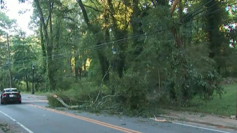 Fallen tree blocks roadway in SW Atlanta, causing traffic chaos