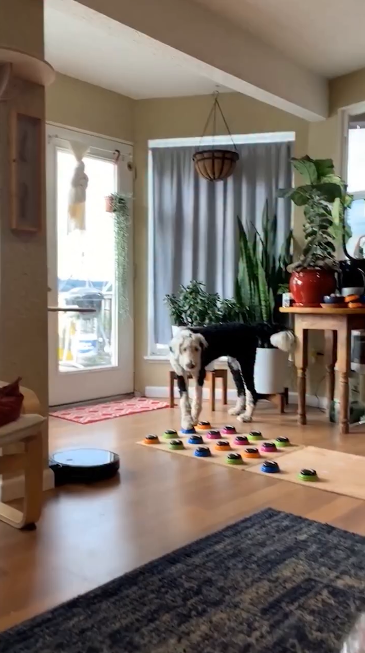 Every time bunny wakes up from a nap