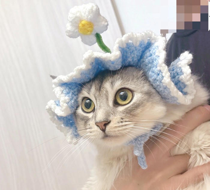 お花付きの帽子』をかぶった猫→『表情』が変化して…笑って