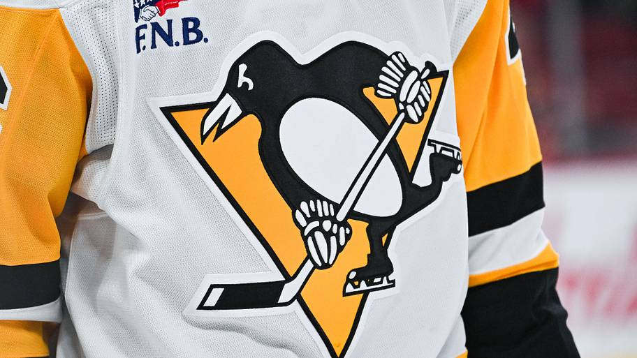 Is Penguins prospect Nikonovich a diamond in the rough?