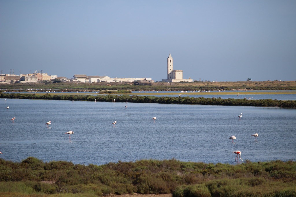Salt flats of Cabo de Gata