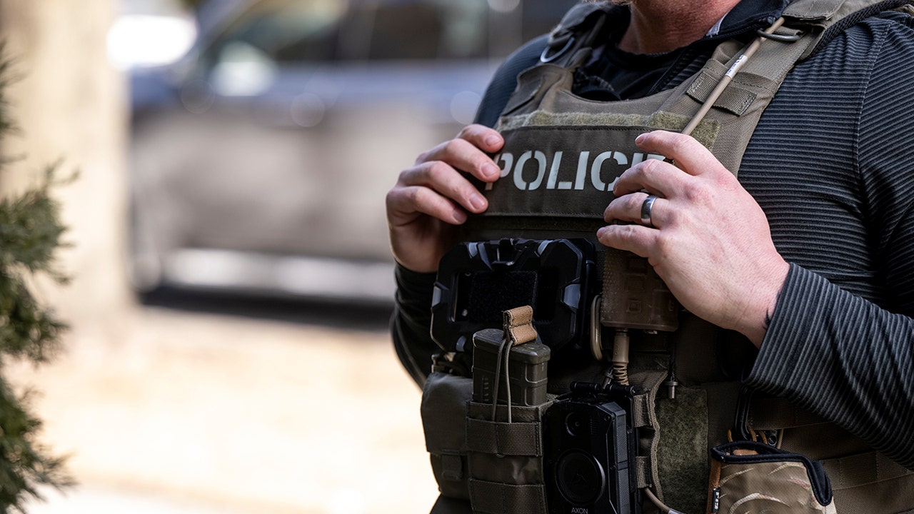U.S. Immigration and Customs Enforcement officers arrested 238 illegal immigrants during a one-day enforcement operation in South Texas, the agency said.