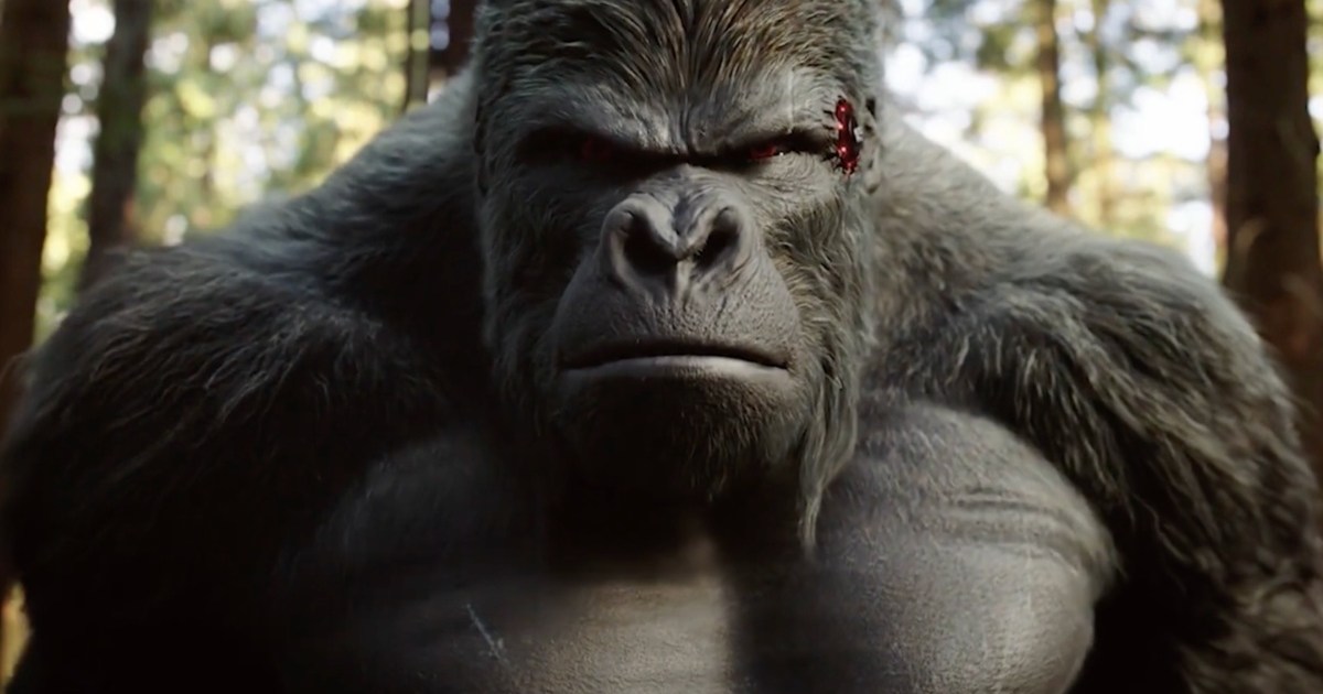DC Fans Are Saying This About New Gorilla Grodd Casting