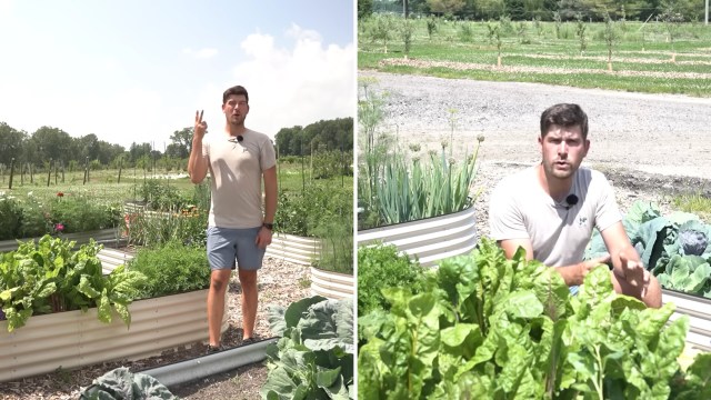 A man in a garden with raised beds.