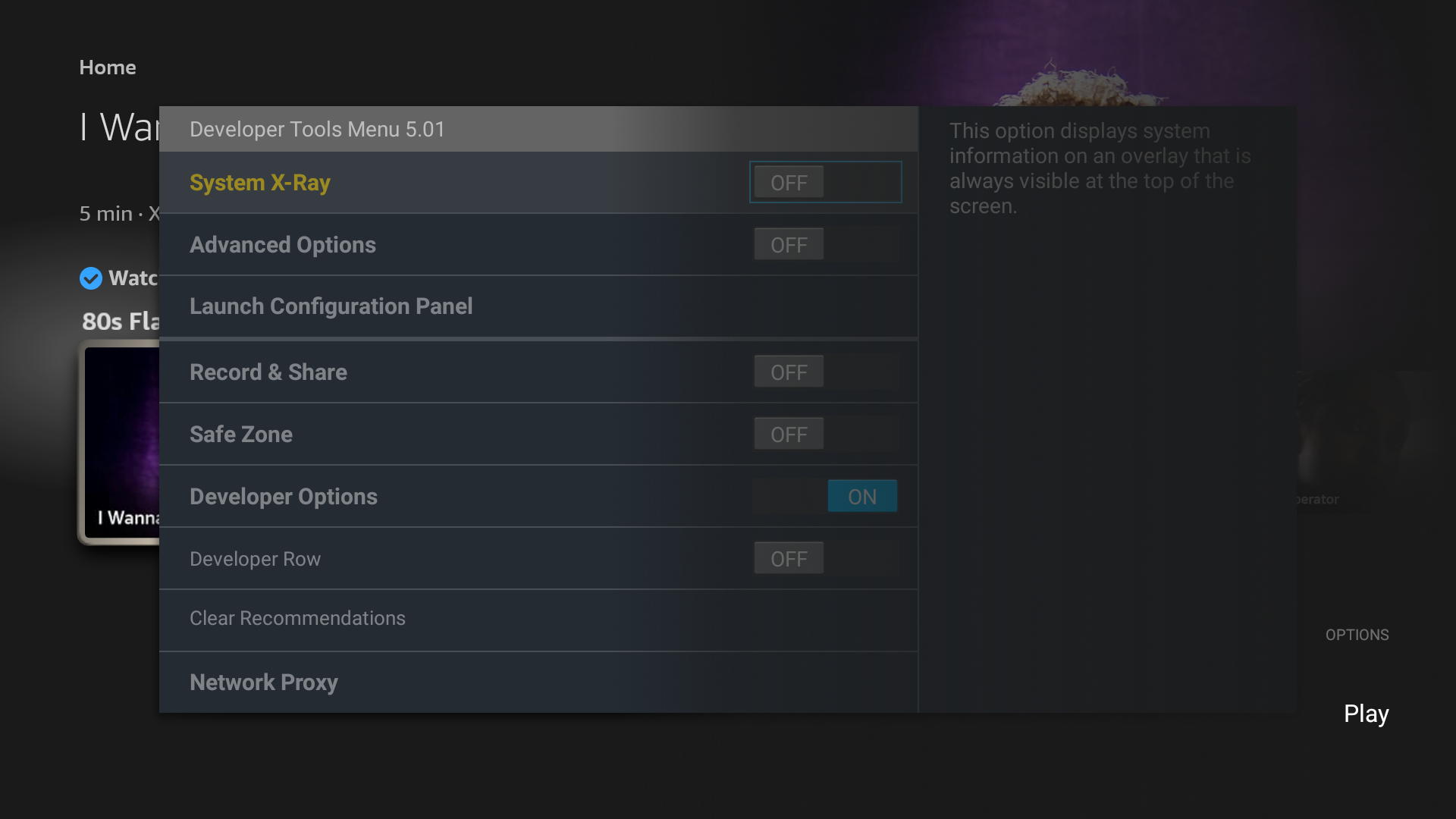 The developer tools menu in Fire TV.