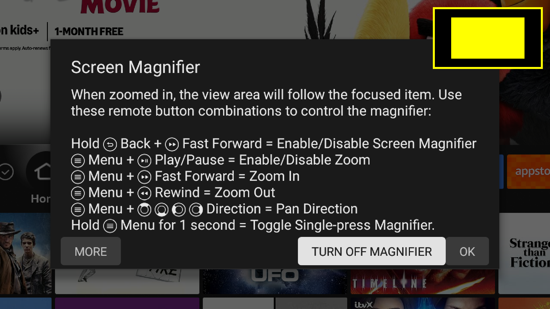 Screen Magnifier on Fire TV.