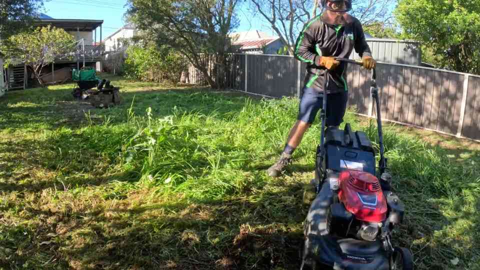 She couldn't afford this massive cleanup - so we transformed her yard ...