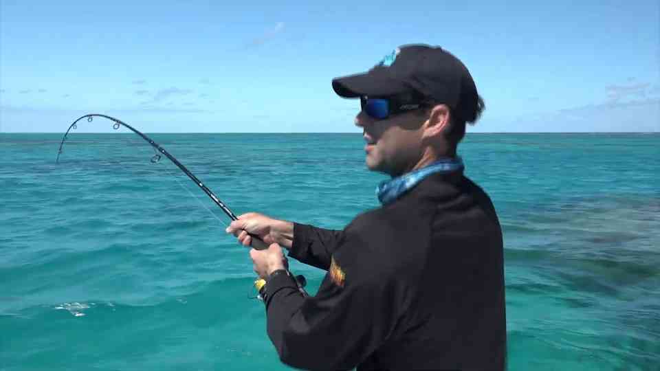 Catching weirdest fish ever seen!