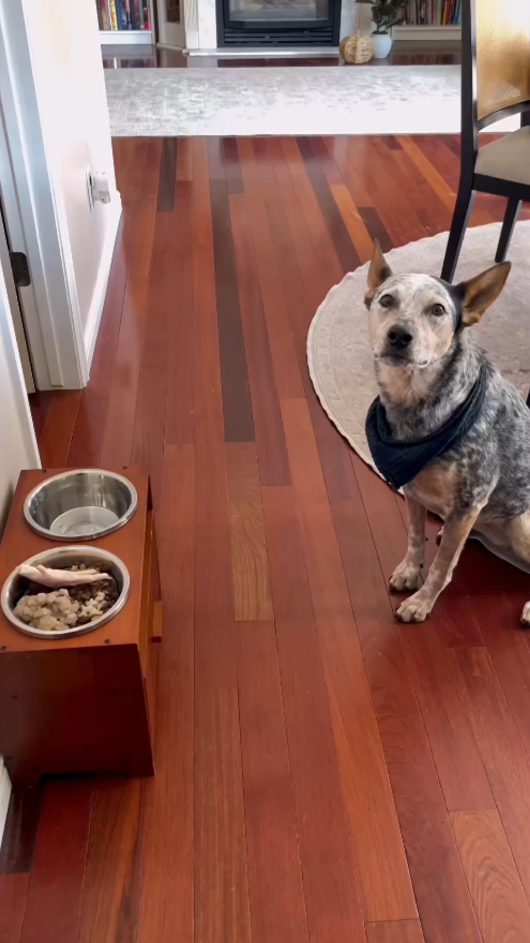 Stella’s cozy breakfast morning routine with satisfying sounds