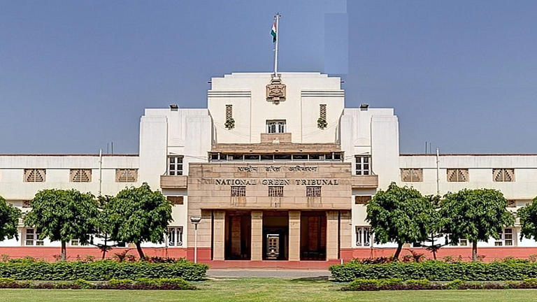 NGT takes suo motu on Tiruvallur ammonia leak, issues notices to ...