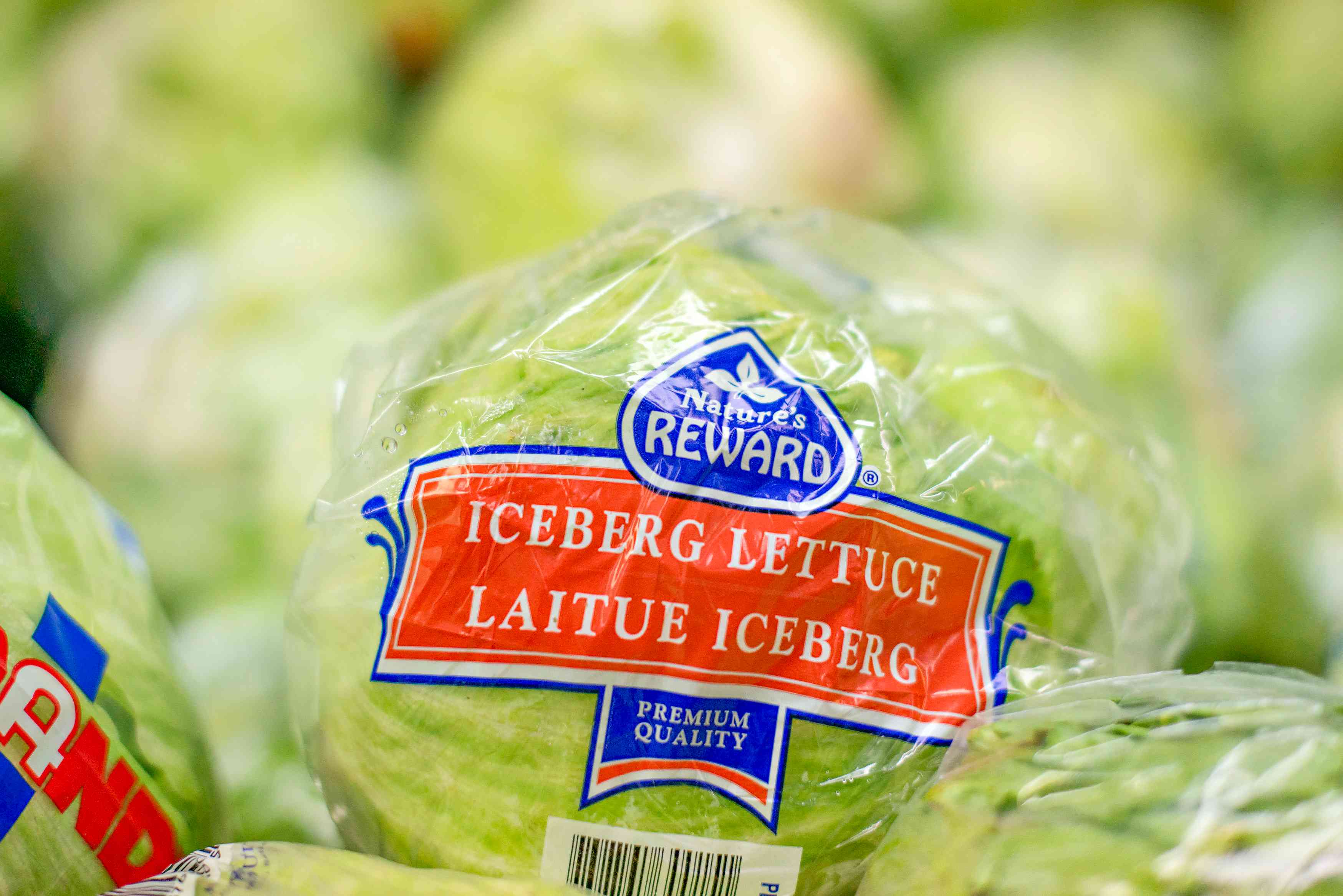 The only way you should store lettuce, according to an expert