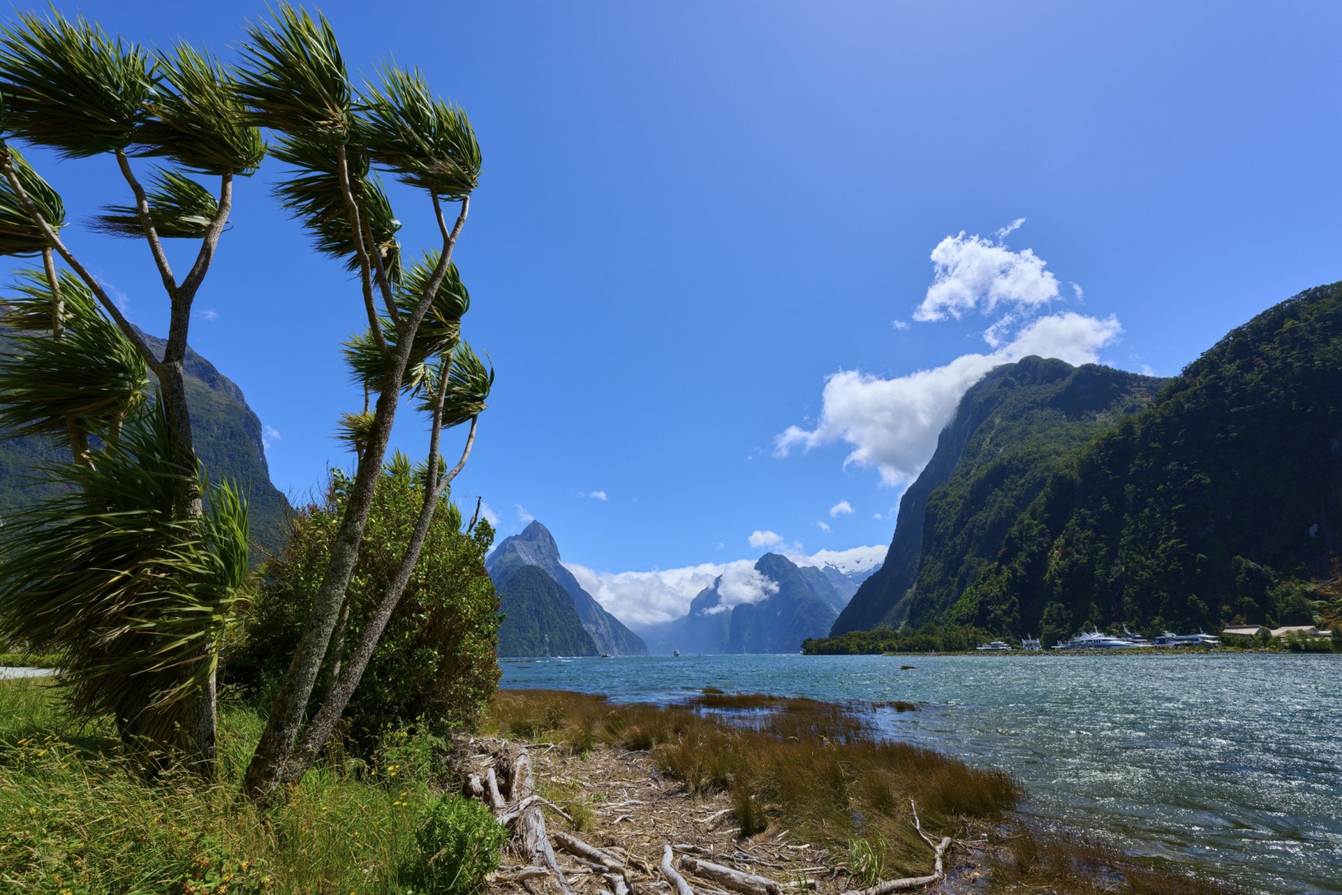 Tsunami warning and immediate evacuation order issued after New Zealand ...