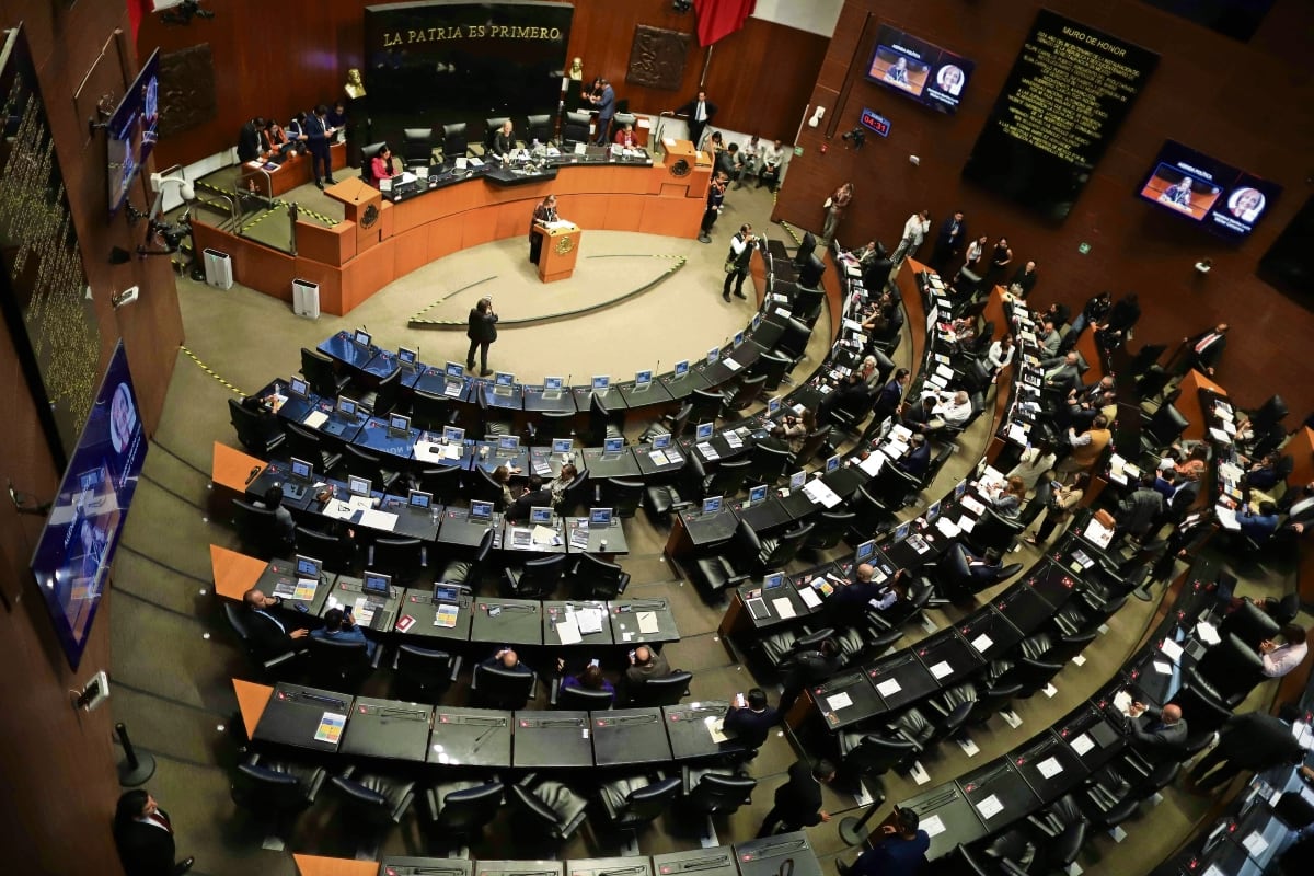 Reforma de nacionalidad única es avalada por 22 congresos estatales ...