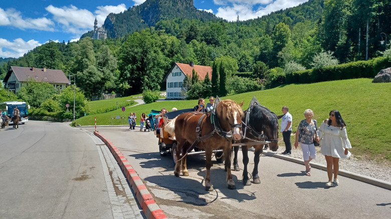 Europe's Grandest Fairytale Castle Is A Majestic Gem Hidden In The Alps That Inspired Walt Disney