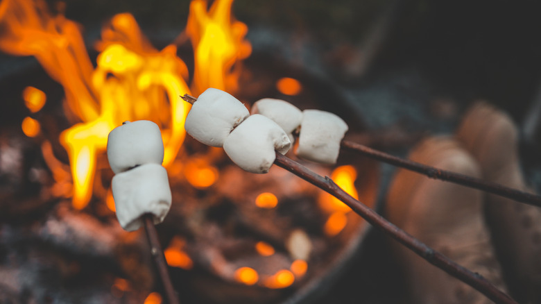 Close-up of marshmallows on sticks over a roaring campfire