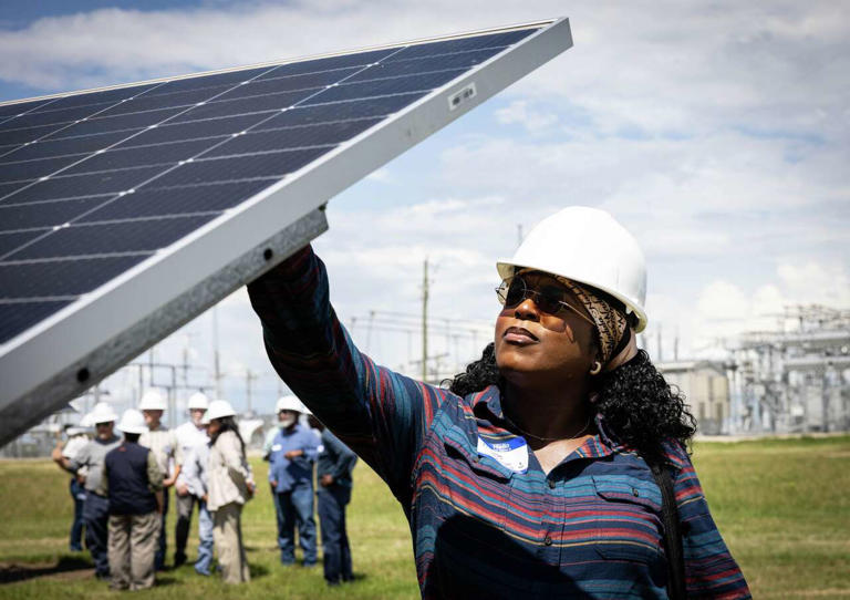 'Solar sheep' industry booms in Texas as ranchers and farmers try to co ...