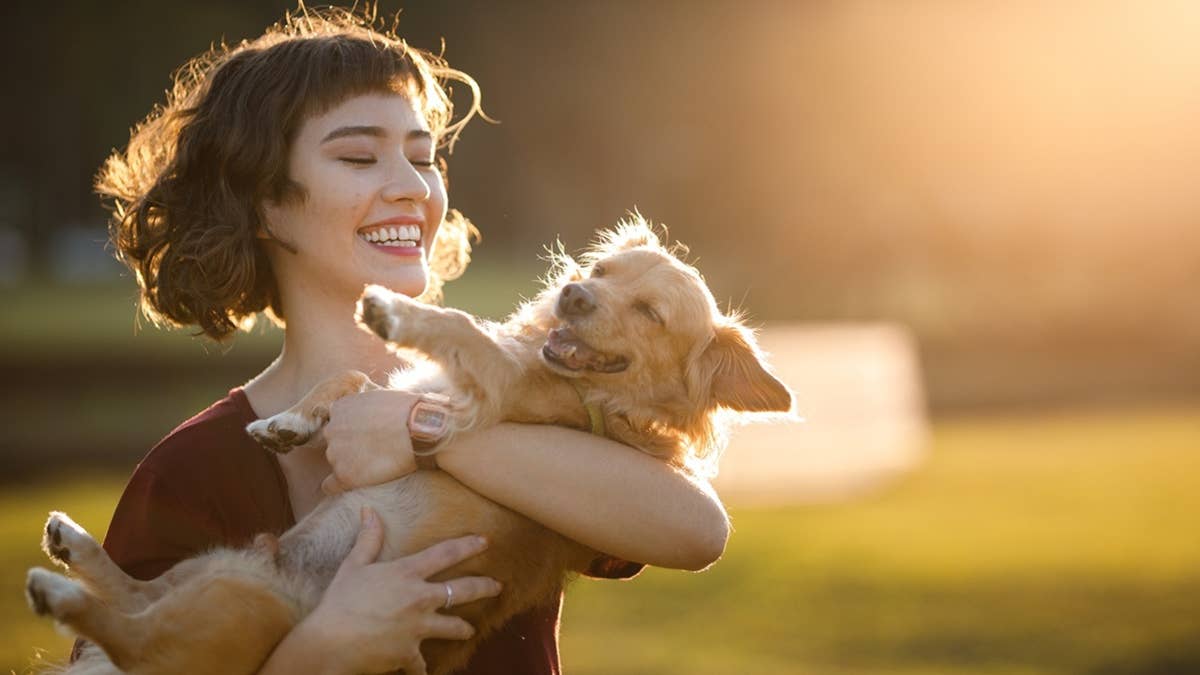 7 Steadfast Dog Breeds That Make Incredible Companions, According to Experts