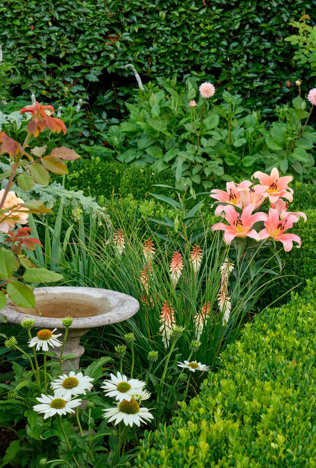 A garden with various flowers greenery and a decorative birdbath