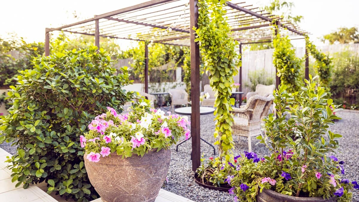 beautiful-garden-patio-setup-with-growing-creepers