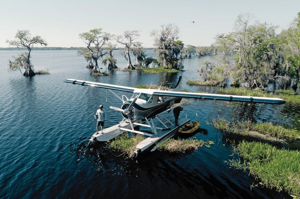 You never know what you might see flying across the Sunshine State. Whether it's the Marco family enjoying their Beaver on floats or an alligator coming up for a little fresh air. [Credit: Jon Whittle]