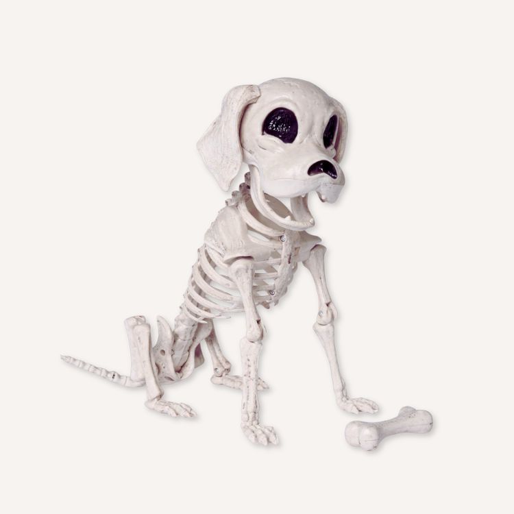 Puppy Skeleton