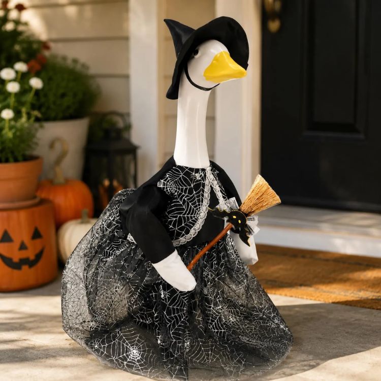 Porch Goose Witch Costume