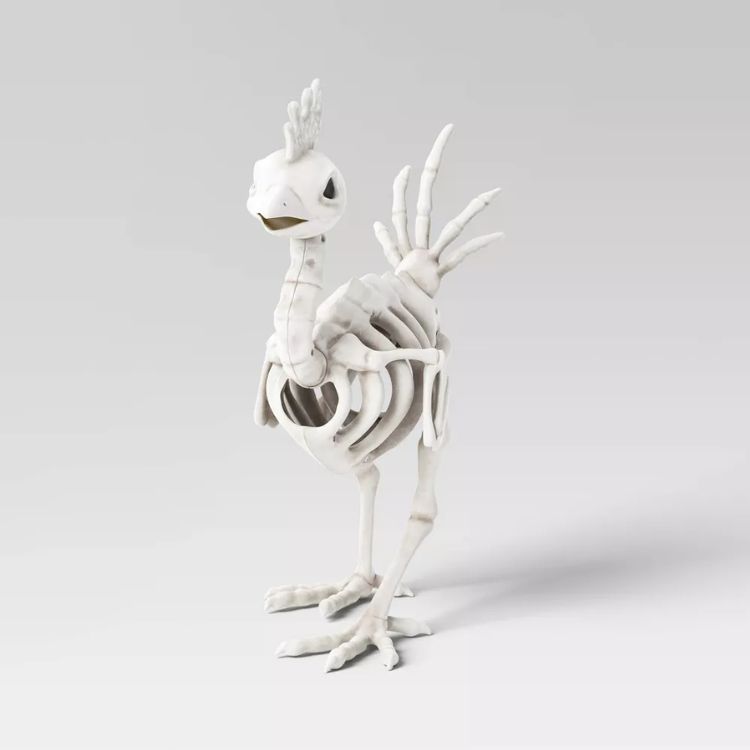 Chicken Skeleton