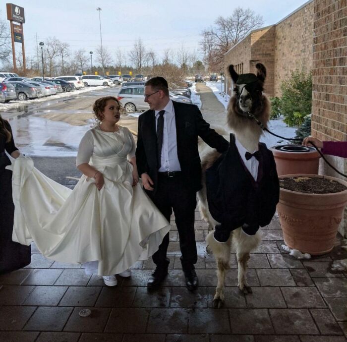 Proof In Pictures: 48 Moments Nobody Would Have Believed