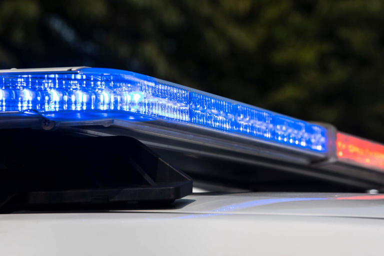 Lexington police investigating hit-and-run caught on video that left 1 ...