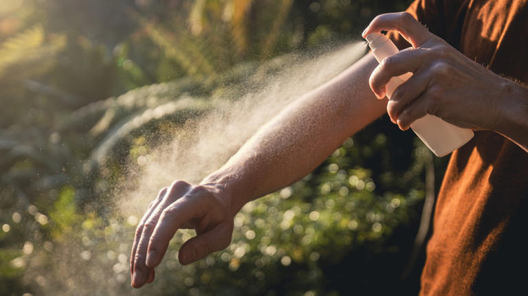 Ward off mosquitoes with the help of a distinct fragrance they can't ...