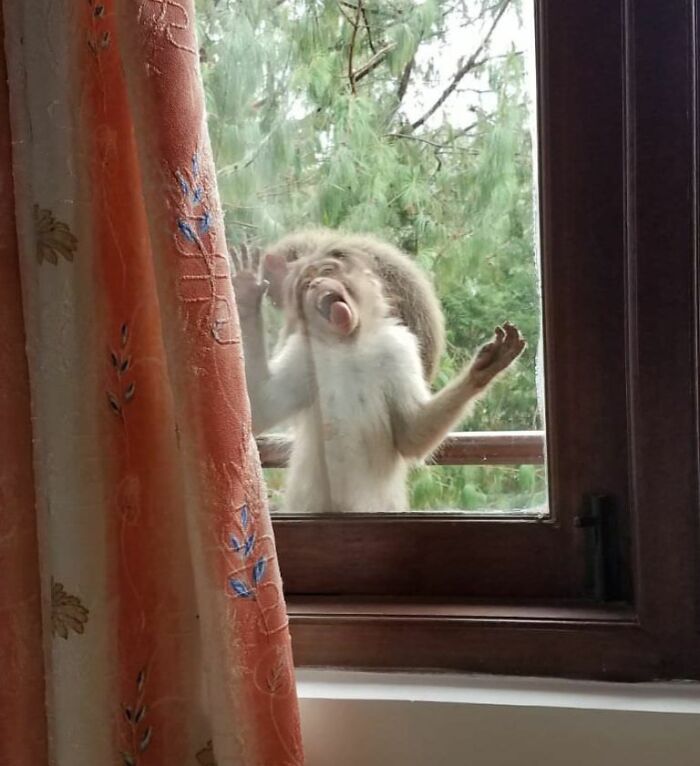 Proof In Pictures: 48 Moments Nobody Would Have Believed