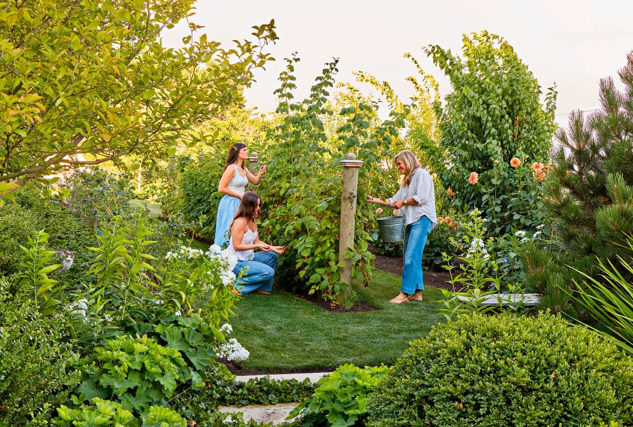 Three people gardening together surrounded by lush greenery