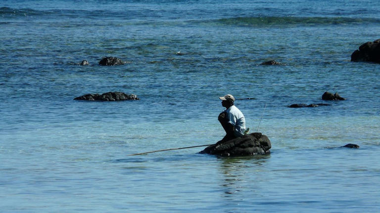 Bosan dengan rutinitas? Coba sensasi memancing untuk mengisi waktu luang!