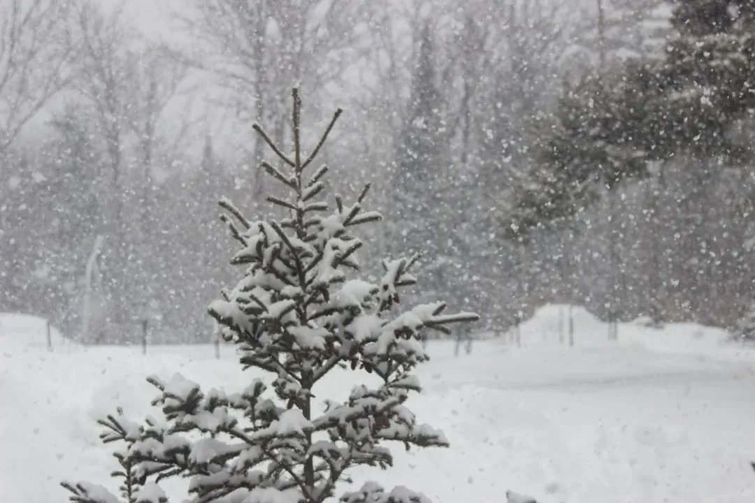 9. Minnesota: Cold Extremes That Define the Northern Tier (Image Credits: Unsplash)