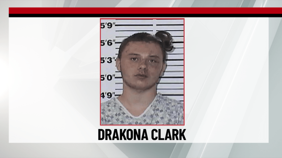 Arraignment scheduled for Moulton teen accused of shooting family