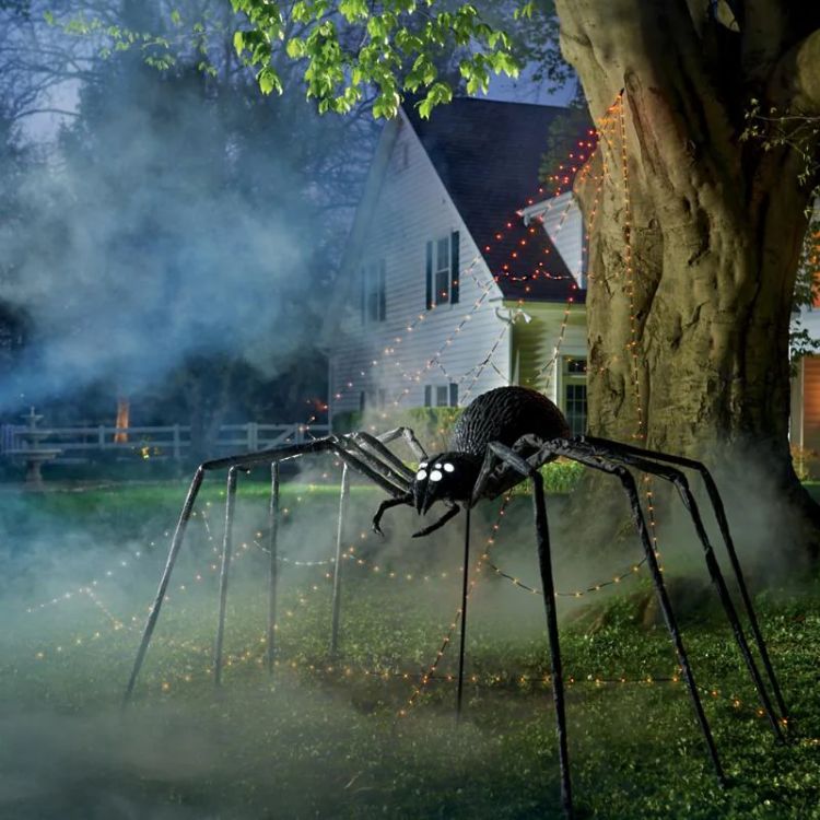 Giant Shreiking Spider