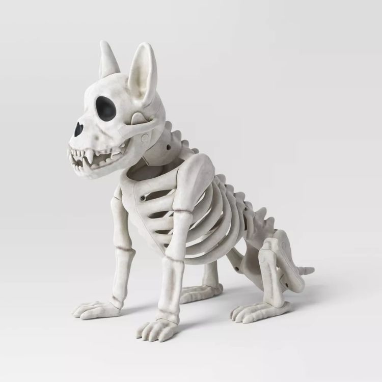 French Bulldog Skeleton