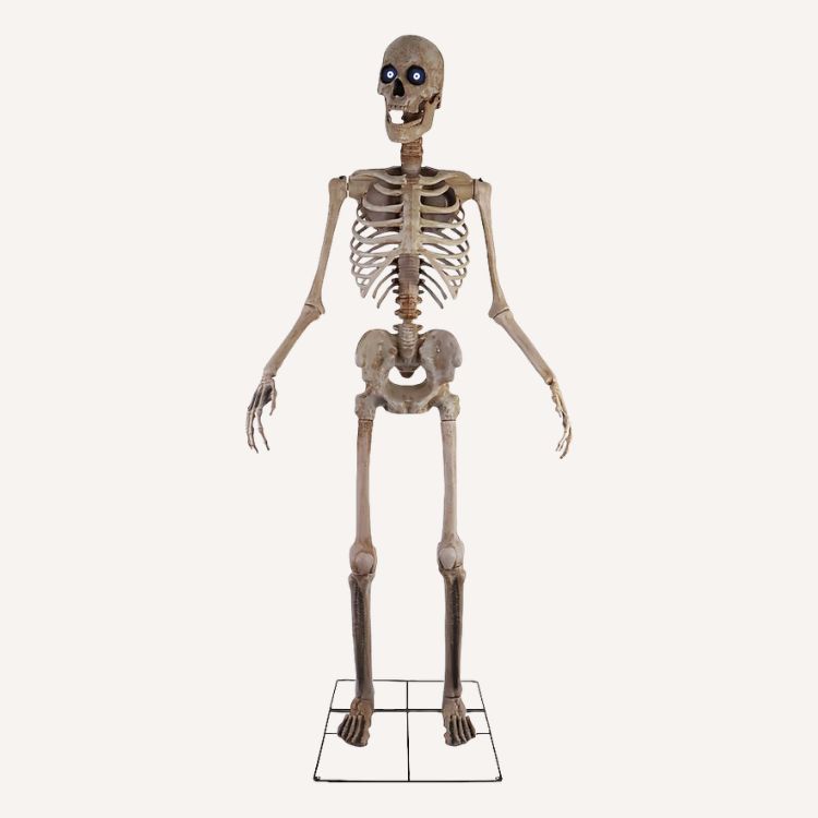 8-Foot Giant Skeleton