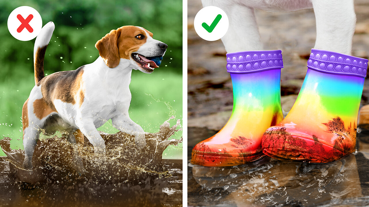 Clever DIY ideas and fun projects for pet lovers
