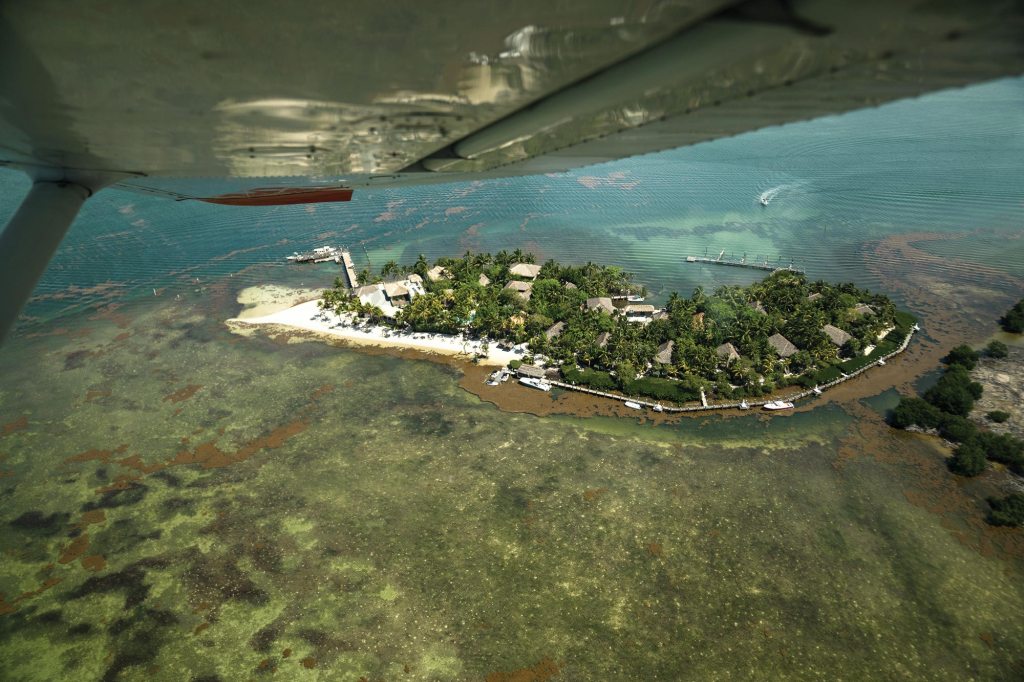 The Other Florida: General Aviation Destinations Beyond the Theme Parks