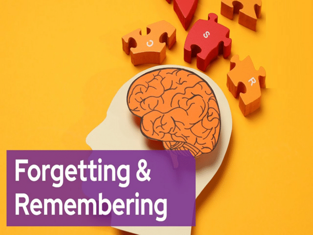 Why kids forget overnight: Remembering at night and forgetting in the ...