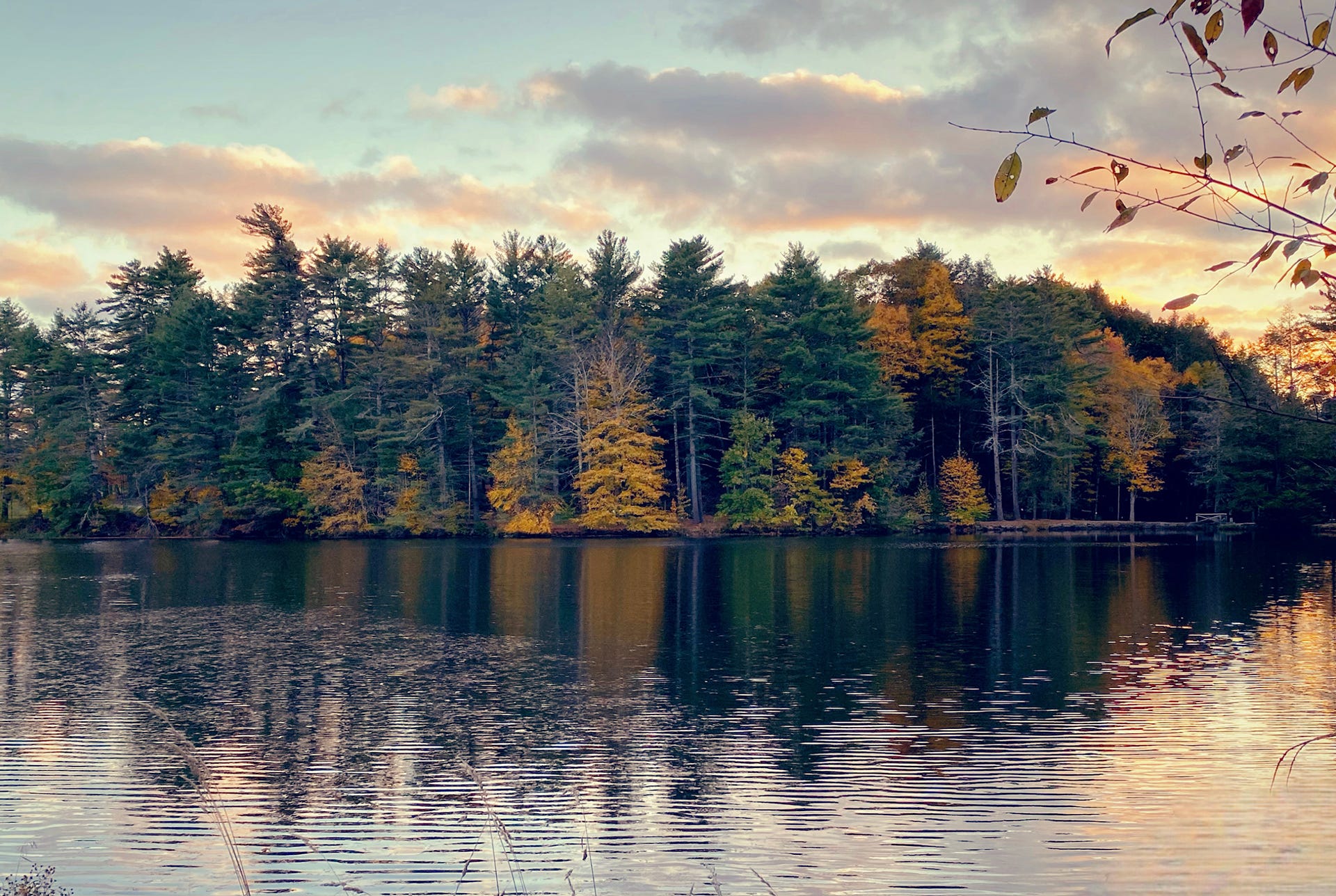 Enter your nature photos in annual river contest