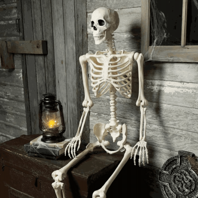 Animated Skeleton