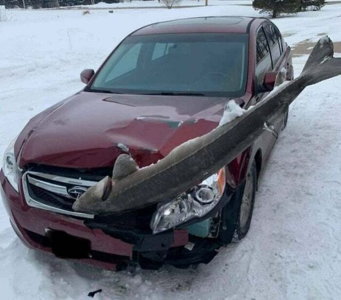 Proof In Pictures: 48 Moments Nobody Would Have Believed