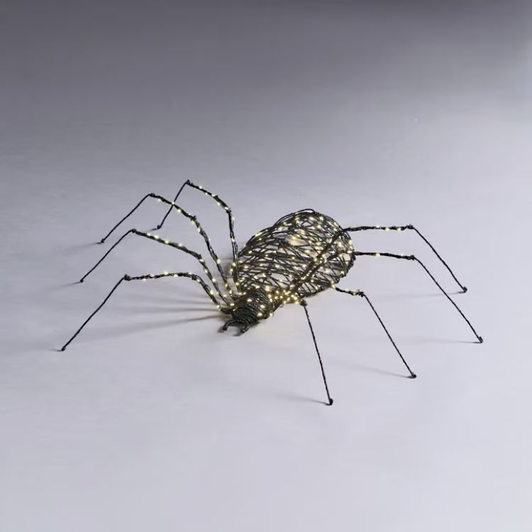 Lit Spider