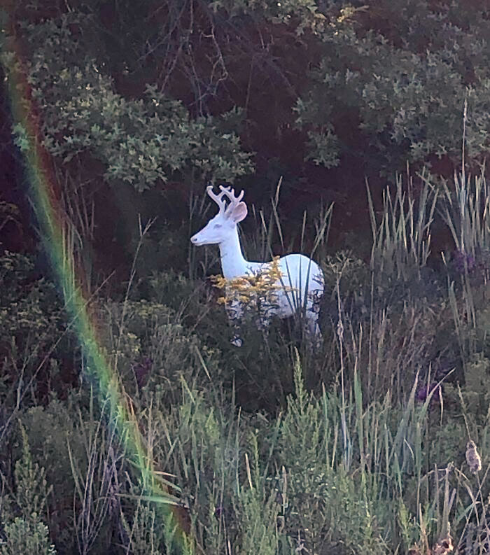 Proof In Pictures: 48 Moments Nobody Would Have Believed